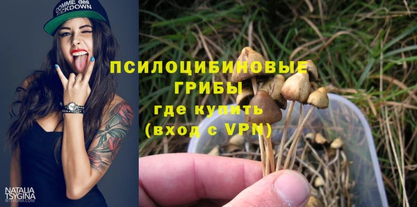 метадон Арсеньев