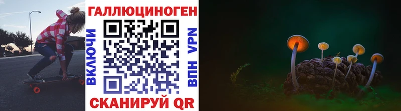 Псилоцибиновые грибы мухоморы Юрьев-Польский